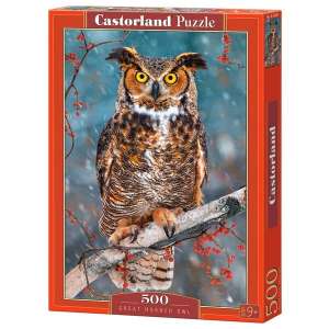 CASTORLAND GREAT HORNED OWL