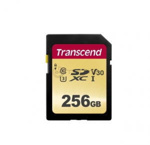 TRANSCEND TS256GSDC500S 256 Gb