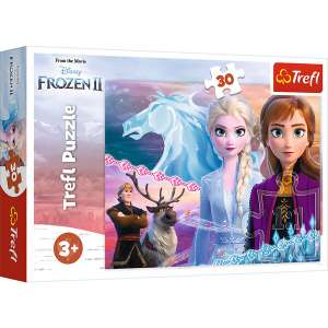 TREFL THE COURAGE OF THE SISTERS (FROZEN 2)