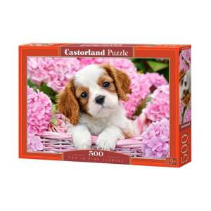 CASTORLAND PUP IN PINK FLOWERS